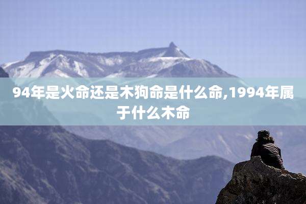94年是火命还是木狗命是什么命,1994年属于什么木命