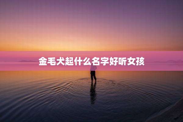 金毛犬起什么名字好听女孩