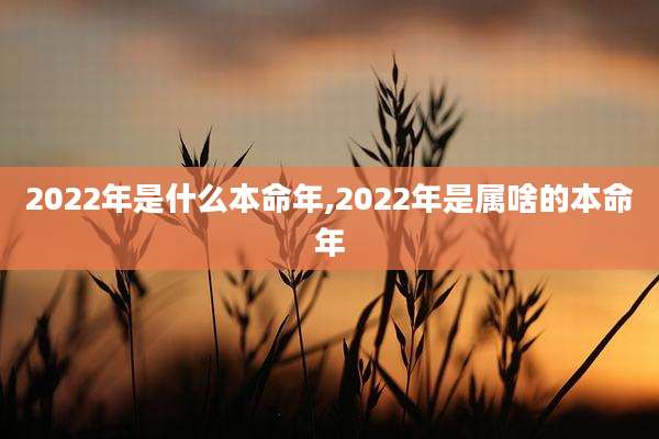 2022年是什么本命年,2022年是属啥的本命年