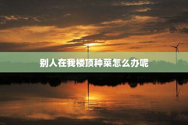别人在我楼顶种菜怎么办呢