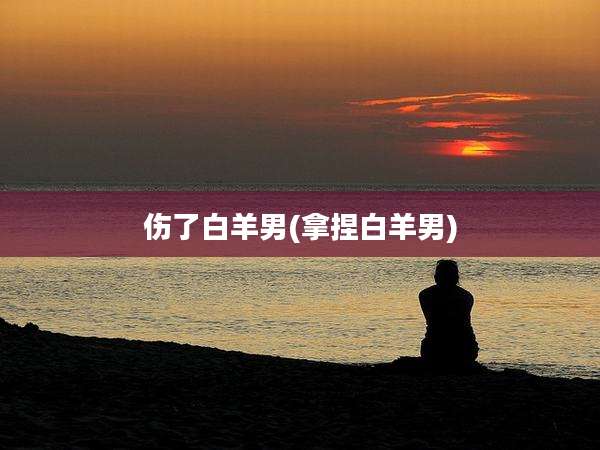 伤了白羊男(拿捏白羊男)