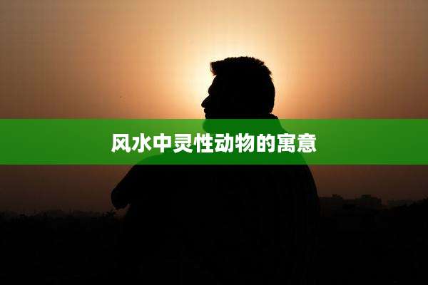 风水中灵性动物的寓意