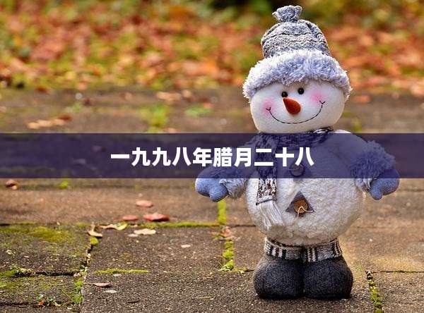 一九九八年腊月二十八