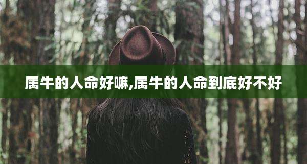 属牛的人命好嘛,属牛的人命到底好不好