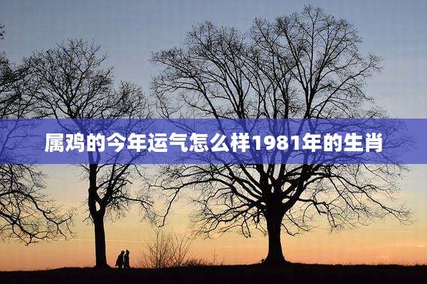 属鸡的今年运气怎么样1981年的生肖