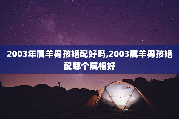 2003年属羊男孩婚配好吗,2003属羊男孩婚配哪个属相好