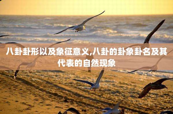 八卦卦形以及象征意义,八卦的卦象卦名及其代表的自然现象