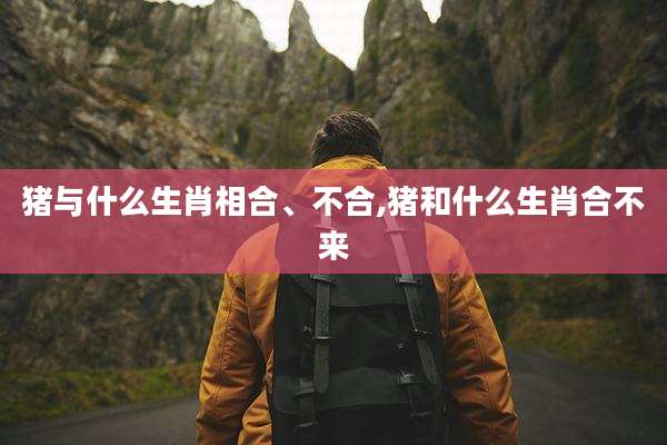 猪与什么生肖相合、不合,猪和什么生肖合不来