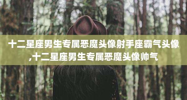 十二星座男生专属恶魔头像射手座霸气头像,十二星座男生专属恶魔头像帅气