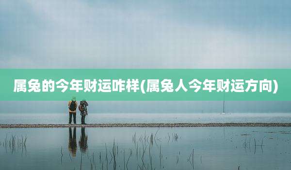 属兔的今年财运咋样(属兔人今年财运方向)