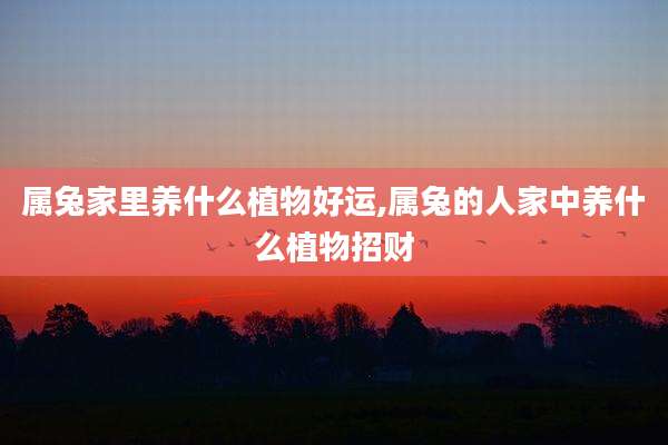 属兔家里养什么植物好运,属兔的人家中养什么植物招财