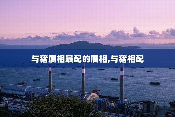 与猪属相最配的属相,与猪相配