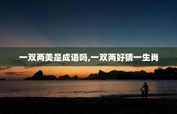 一双两美是成语吗,一双两好猜一生肖