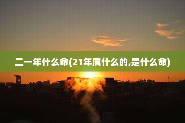 二一年什么命(21年属什么的,是什么命)