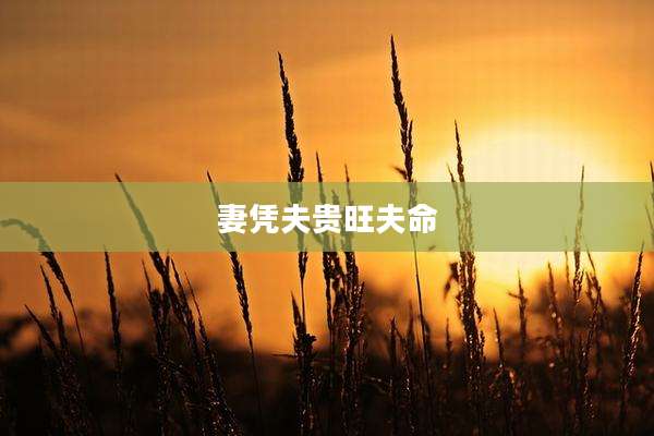 妻凭夫贵旺夫命