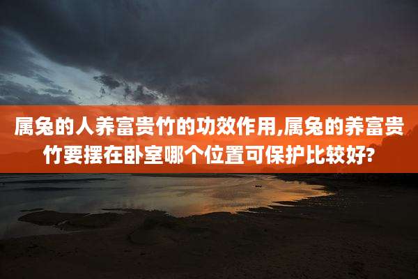 属兔的人养富贵竹的功效作用,属兔的养富贵竹要摆在卧室哪个位置可保护比较好?