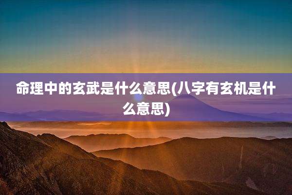 命理中的玄武是什么意思(八字有玄机是什么意思)