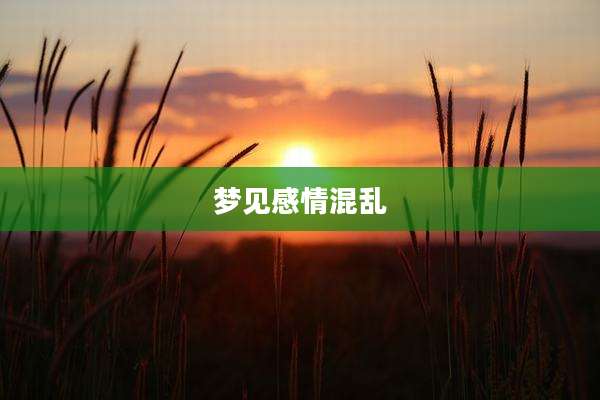 梦见感情混乱