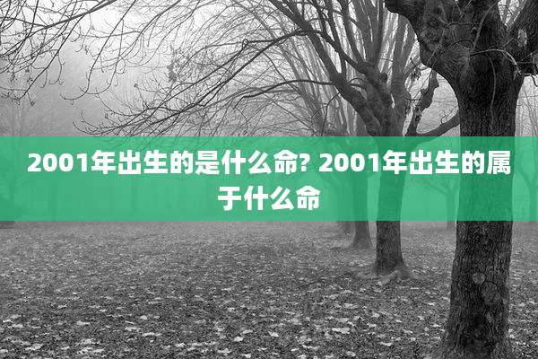 2001年出生的是什么命? 2001年出生的属于什么命