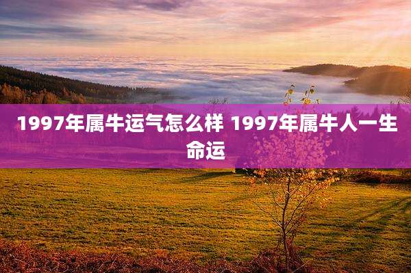 1997年属牛运气怎么样 1997年属牛人一生命运