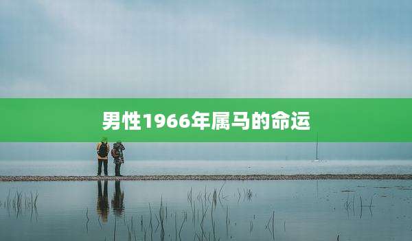 男性1966年属马的命运