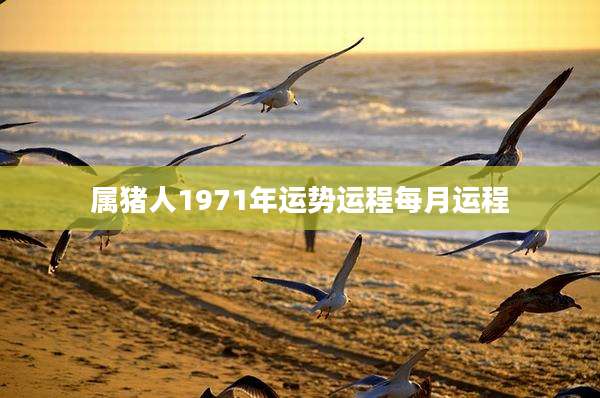 属猪人1971年运势运程每月运程