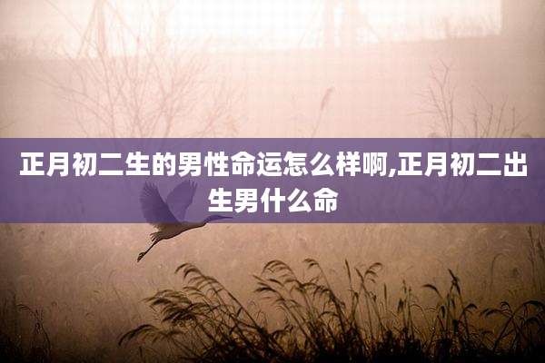 正月初二生的男性命运怎么样啊,正月初二出生男什么命