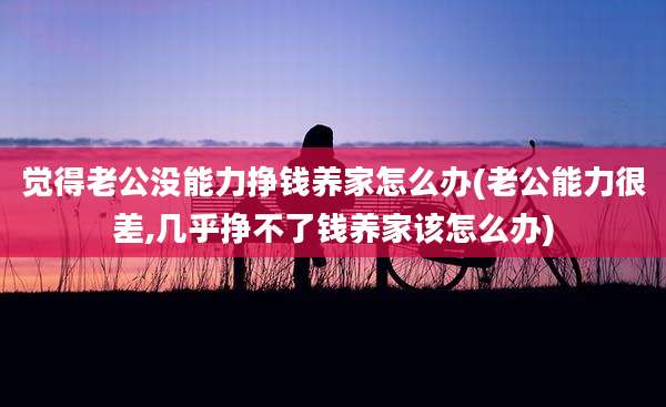 觉得老公没能力挣钱养家怎么办(老公能力很差,几乎挣不了钱养家该怎么办)
