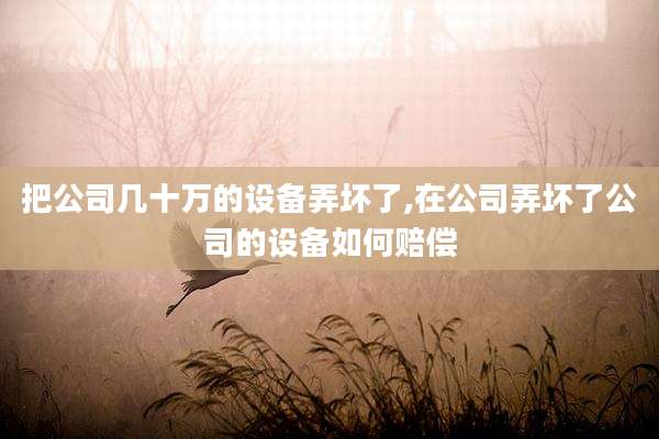 把公司几十万的设备弄坏了,在公司弄坏了公司的设备如何赔偿