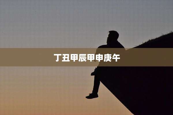 丁丑甲辰甲申庚午