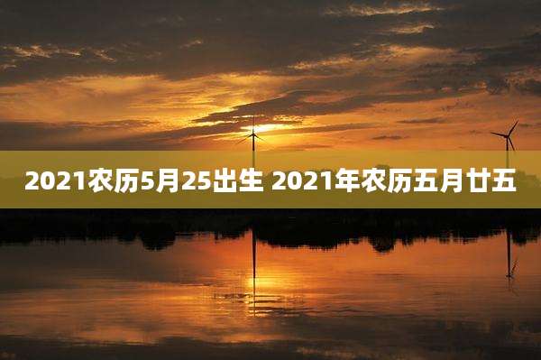 2021农历5月25出生 2021年农历五月廿五