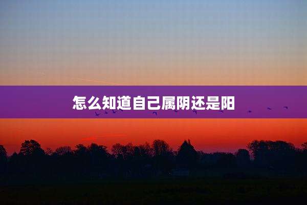 怎么知道自己属阴还是阳