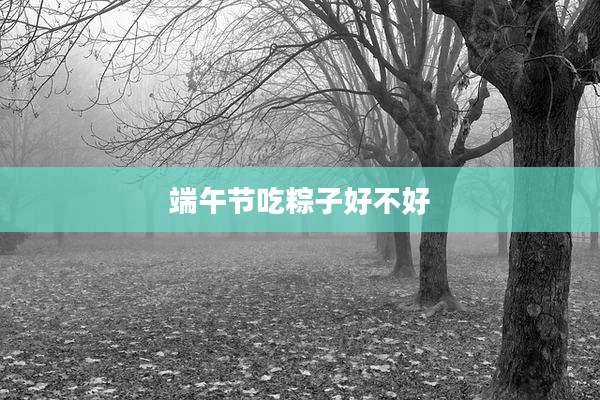 端午节吃粽子好不好