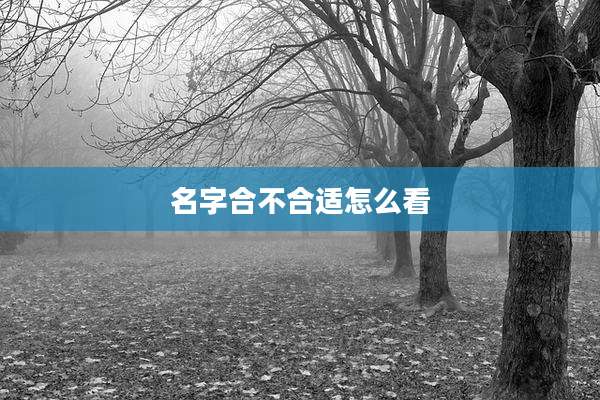 名字合不合适怎么看