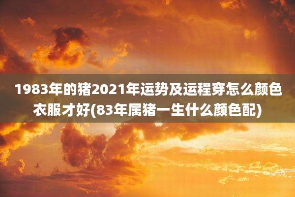 1983年的猪2021年运势及运程穿怎么颜色衣服才好(83年属猪一生什么颜色配)