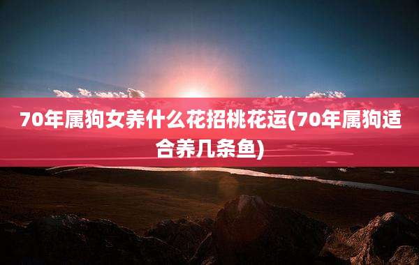 70年属狗女养什么花招桃花运(70年属狗适合养几条鱼)