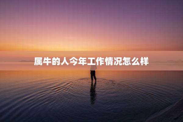 属牛的人今年工作情况怎么样