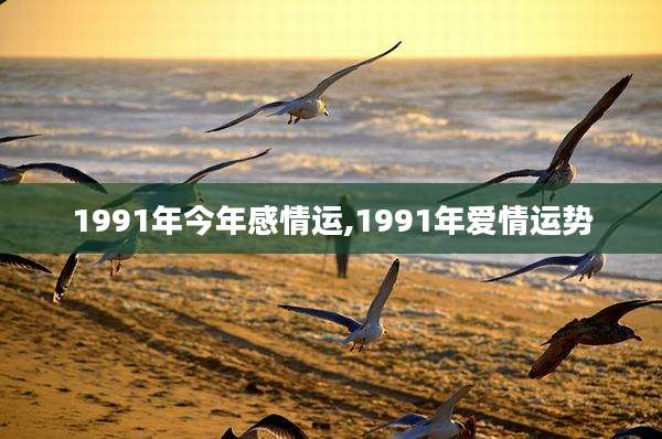 1991年今年感情运,1991年爱情运势