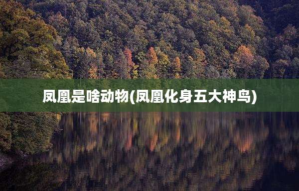 凤凰是啥动物(凤凰化身五大神鸟)