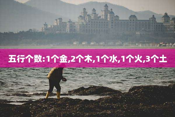 五行个数:1个金,2个木,1个水,1个火,3个土