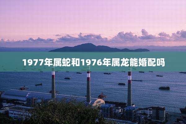 1977年属蛇和1976年属龙能婚配吗