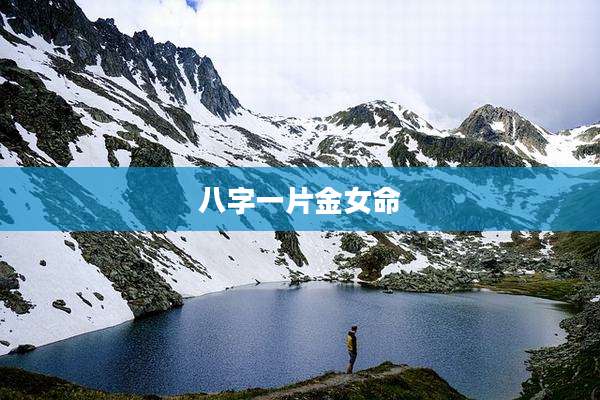 八字一片金女命