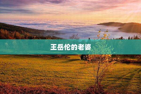 王岳伦的老婆