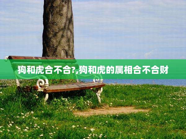 狗和虎合不合?,狗和虎的属相合不合财