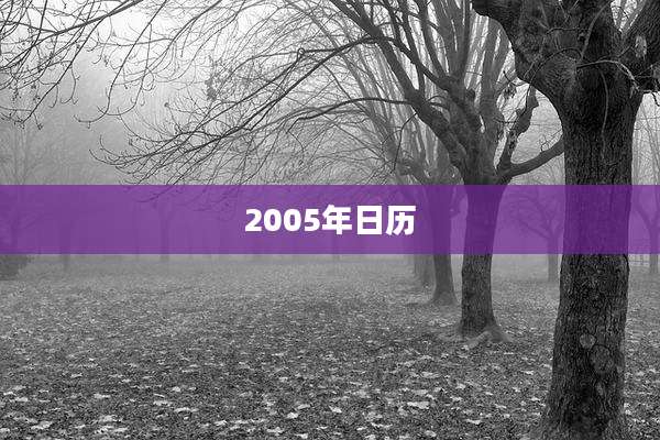 2005年日历