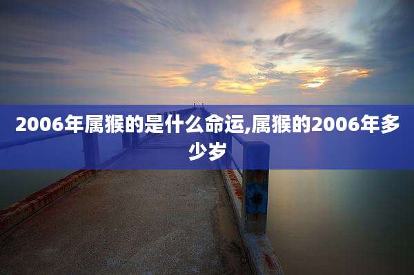 2006年属猴的是什么命运,属猴的2006年多少岁