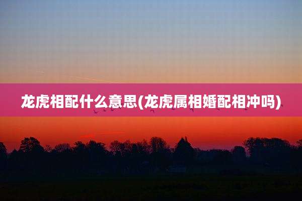 龙虎相配什么意思(龙虎属相婚配相冲吗)