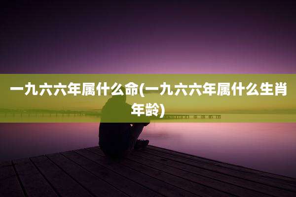 一九六六年属什么命(一九六六年属什么生肖年龄)