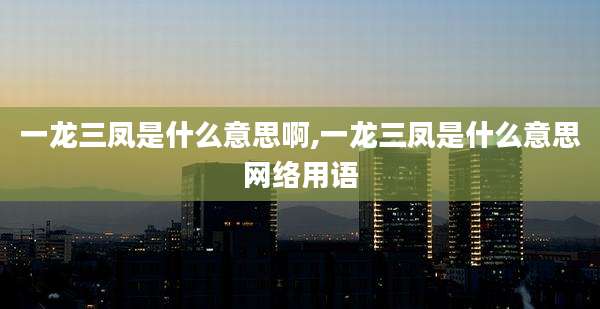一龙三凤是什么意思啊,一龙三凤是什么意思网络用语