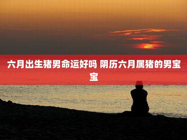 六月出生猪男命运好吗 阴历六月属猪的男宝宝
